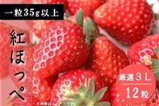 【予約】丹波市産いちご「紅ほっぺ」　厳選３Ｌ