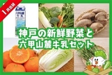 y܁z_˂̐VN؂ƘZbR[ZbgiZb̂߂݁j1oׁ