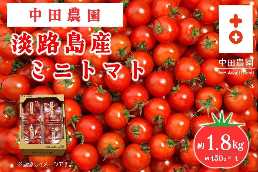 c_̒WHY~jg}gi450g×SPj