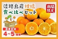 淡路島産柑橘　食べ比べセット　４〜５種類