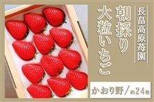WHY ̂嗱ij12×2