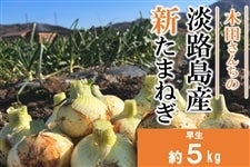 【終売】【数量限定】木田さん家の淡路島産新たまねぎ（約5kg）