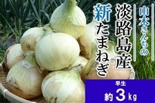 奈良 農園 玉ねぎ
