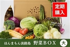 【定期便】◆美菜恋来屋◆ほんまもん淡路島野菜BOX(大)