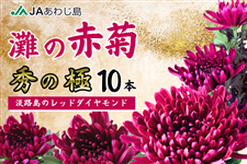 y\zJA킶@̐ԋei10{j ^ؗ@y12{oׁz@@@qlS0~