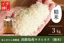 �y2025�p���}CP�z�����ؗ��������ق�܂���W�H���@�W�H���L�k�q�J�� ���āE3kg