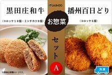 黒田庄和牛＆播州百日どりお惣菜セット（A）【冷凍】