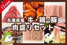 y܁zɌY E{E؁@ZbgikdYEdBSǂEOc|[N@v1.9kgjiJÂ݂j@12oׁ