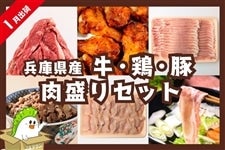 y܁zɌY E{E؁@ZbgikdYEdBSǂEOc|[N@v1.9kgjiJÂ݂j@1oׁ