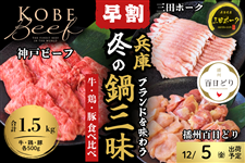 yzɃuh𖡂키@~̓OZbgi_˃r[tEdBSǂEOc|[N@e500gj@12/5oו