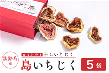 いちじく|【JAタウン】産地直送 通販 お取り寄せ