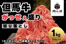 y̓zAn@iؗE1kgjⓀ