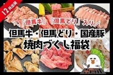 y܁zAnEAnǂ ⋍E{E ēÂ܁iJA܁j@12oׁ