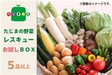 たじまの野菜レスキューお試しBOX（５品以上）