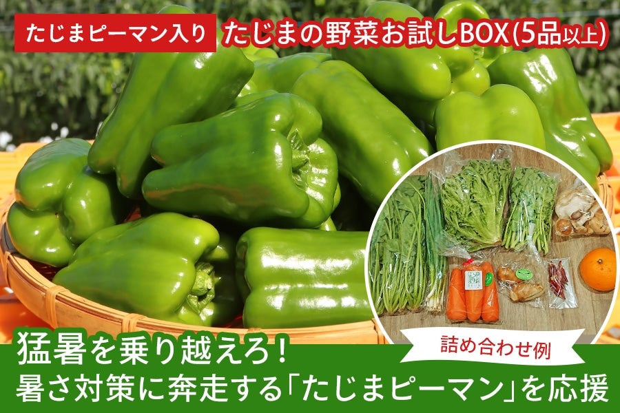 yHׂĉz܂̖؂BOXiTiȏj