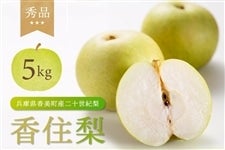 【終売】香住の二十世紀梨　秀品　約5kg