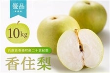 【終売】香住の二十世紀梨　優品・ご家庭用　約10kg