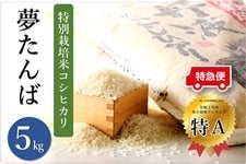 【特急便】特別栽培米コシヒカリ『夢たんば』（5�s）　【特A米】