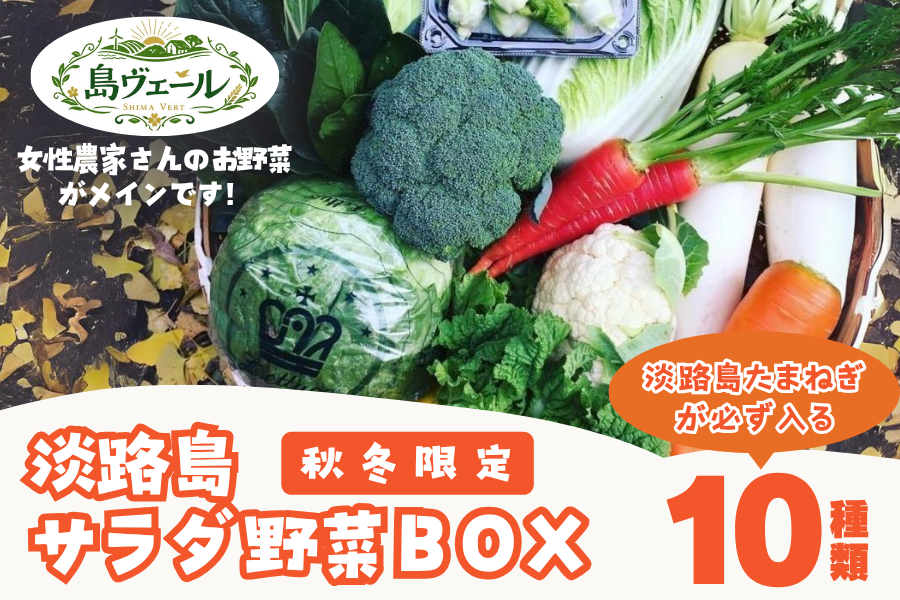 秋冬限定】淡路島サラダ野菜BOX（10種類・11月出荷分）／美菜恋来屋