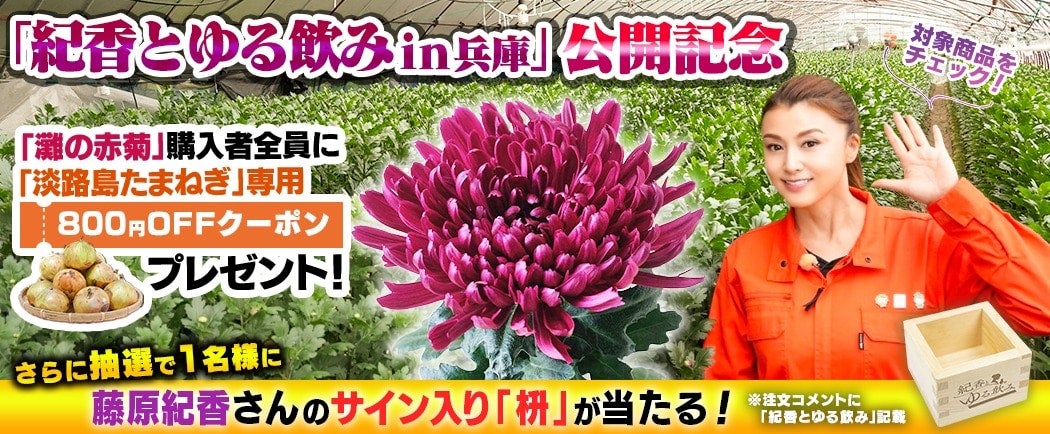 I@IƂ݁@ԋe@WH@TC@Ly[