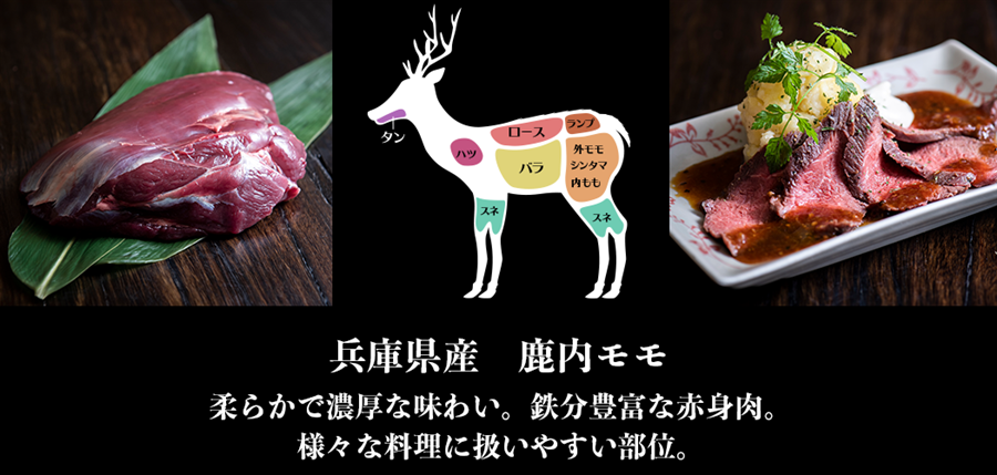 兵庫県産鹿肉　鹿内モモ　ブロック 　451-500g　EXX　ジビエ　シカ肉