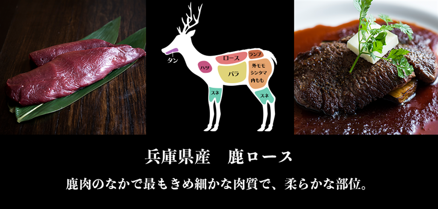 兵庫県産鹿肉　鹿ロース　ブロック　501-550g　EXXX　筋引き済　ジビエ　シカ肉