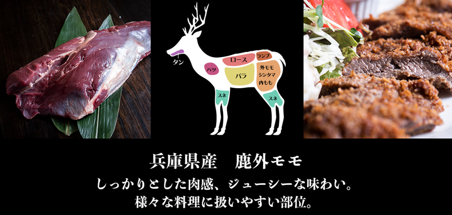 兵庫県産鹿肉　鹿外モモ　ブロック 　451-500g　EXX　ジビエ　シカ肉