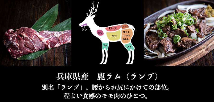 兵庫県産鹿肉　鹿ラム(ランプ) 　ブロック　951-1000g　EX　ジビエ　シカ肉