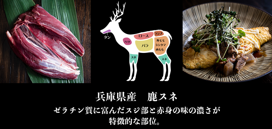 兵庫県産鹿肉　鹿スネ　ブロック　801-850g　EXX　ジビエ　シカ肉