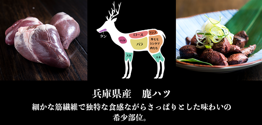 兵庫県産鹿肉　鹿ハツ　ブロック　551-600g　EXX　ジビエ　シカ肉