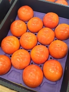 ☆奈良県産☆冨有柿（ふゆうがき）14玉入り贈答にぴったり: JAなら