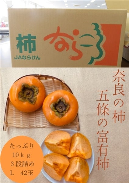 10月御予約★瑞葉ページ 国消国産CP2025】☆奈良県産☆ 家庭用規格 富有柿 L42玉入り: JA