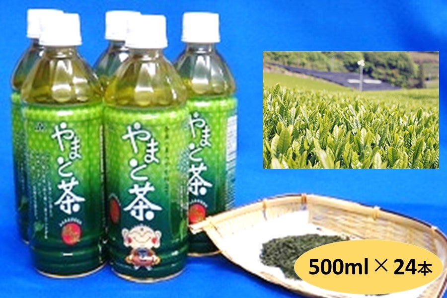 大和茶ペットボトル500ｍｌ　24本入り