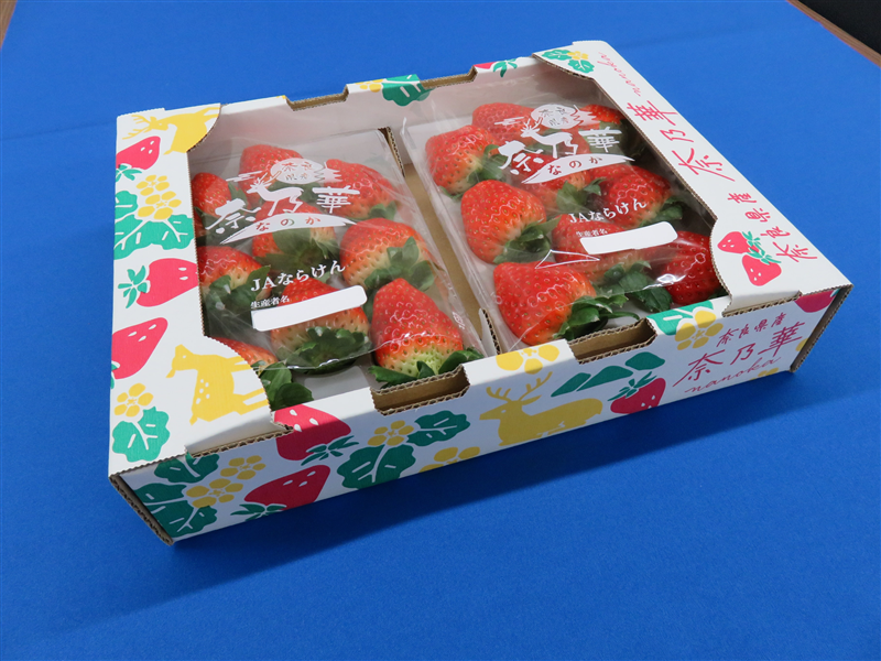 �y�匈�Z�Z�[��2026�z�y���Ԍ���z�ޗǂ̃I���W�i���i��@�ޔT�؁@��270g×2P