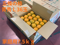 �y�������Y�b�o2026�z���ޗǌ��Y�� �ƒ�p�K�i�@���������`�@�k36�ʓ���