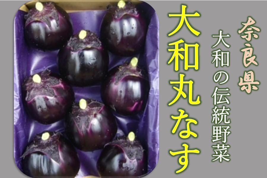 ��a�̓`����؁���a�ۂȂ��@8�ʁ`11�ʓ���i��2kg���j
