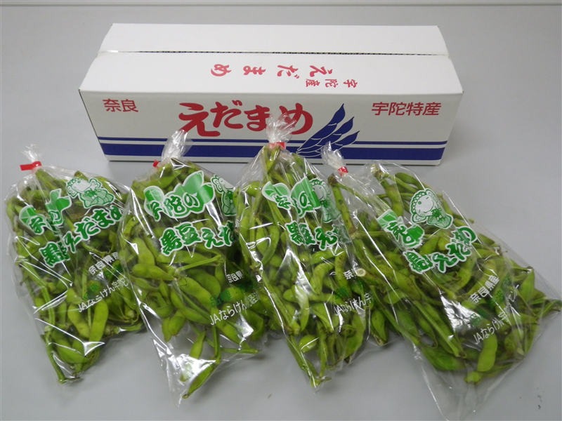 yYbo2025zޗǌFɎY@哤܂ 2.5kg