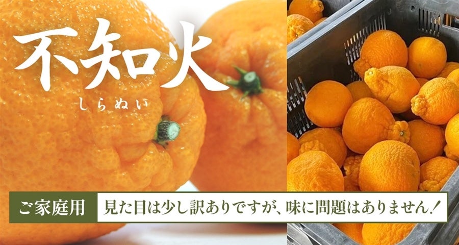 不知火ご家庭用 約10㎏: 和歌山発!!ふるさとの便り|【JA 不知火ご家庭用 約10㎏: 和歌山発!!ふるさとの便り|【JA