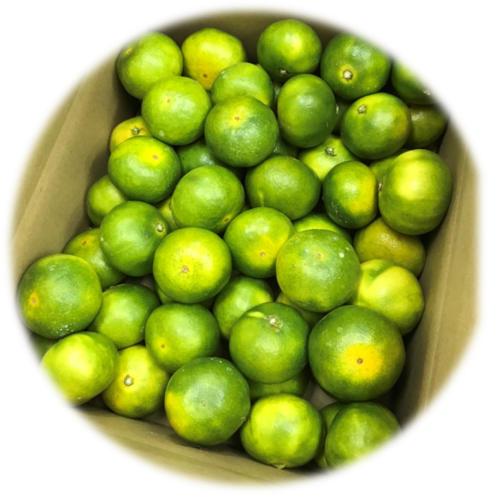 産地直送 通販 お取り寄せくだもの ｊａタウン