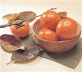  和歌山の富有柿　１２玉（１１月上旬頃から順次発送予定）