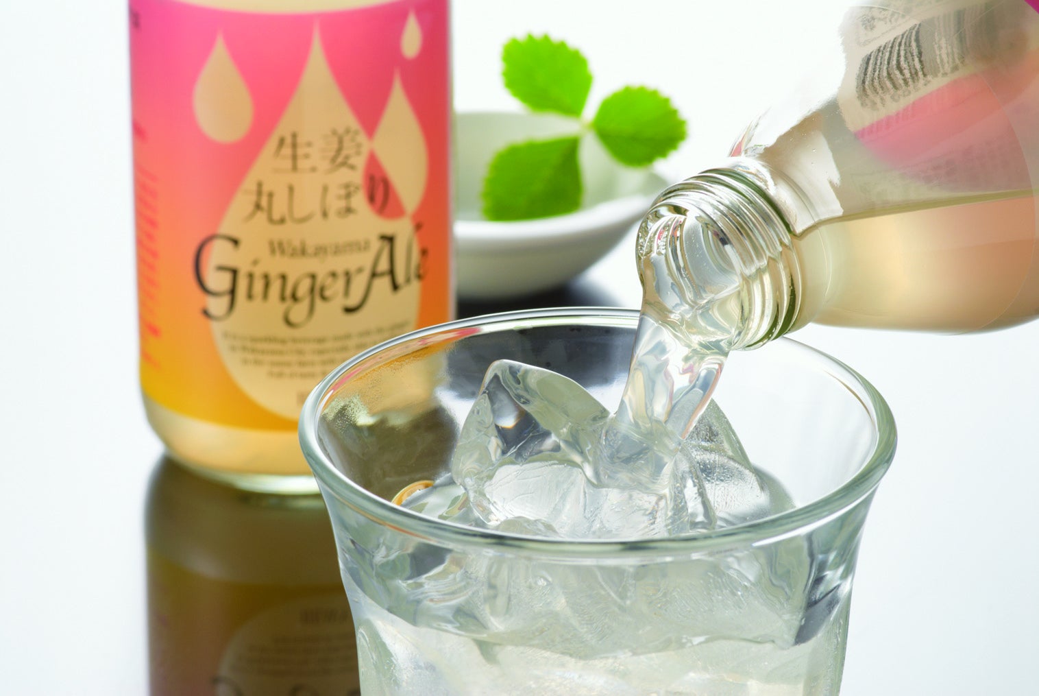 IۂڂWakayama GingerAle@250ml×24{