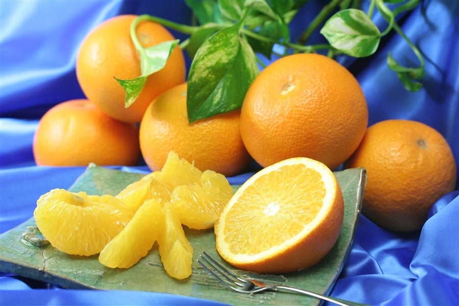 産地直送 通販 お取り寄せ紅八朔 ポッポ 5kg 2l ひよこ付き 紀の里 旬 たより ｊａタウン