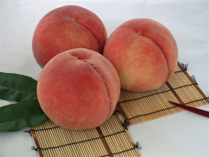 桃）川中島 約2kg:6～8玉入: 紀の里'旬'たより|【ＪＡタウン】産地直送 通販 お取り寄せ