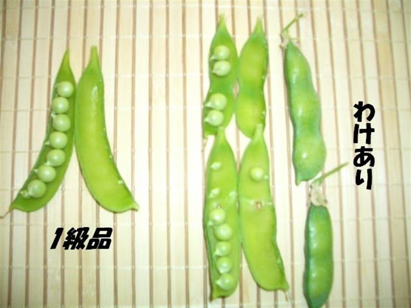 産地直送 通販 お取り寄せわけあり 紀州うすいえんどう豆 約４ｋｇ 紀の里 旬 たより ｊａタウン