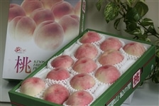 �i���j���P ���ƒ�p�@��4����:12�`15�ʓ�