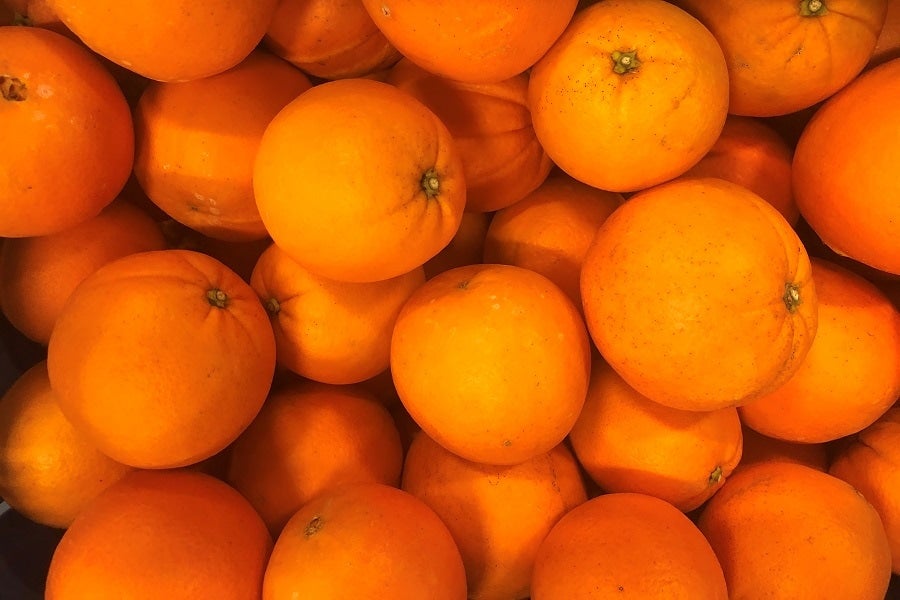 和歌山のオレンジ　白柳ネーブルオレンジ　３Ｌサイズ　２８玉　約８ｋｇ