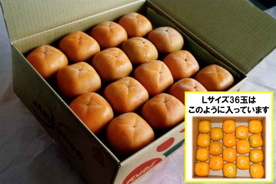 家庭用　傷多め　和歌山産　たねなし柿　3kg以上　送料込