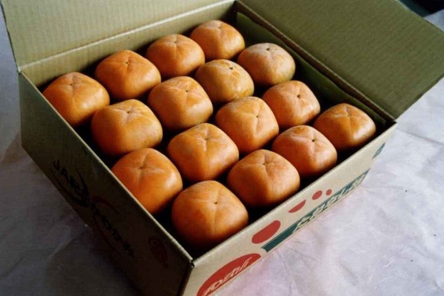 和歌山の柿 たねなし柿 ２Ｌサイズ３２玉 7.5kg箱: ＪＡ紀北かわかみ 『腕自慢』|【ＪＡタウン】産地直送 通販 お取り寄せ
