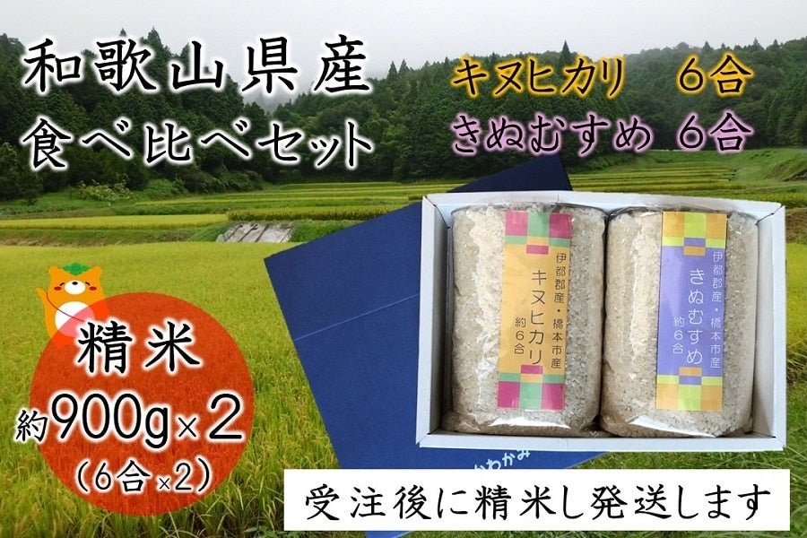京都丹波産キヌヒカリ 令和6年 玄米10Kg