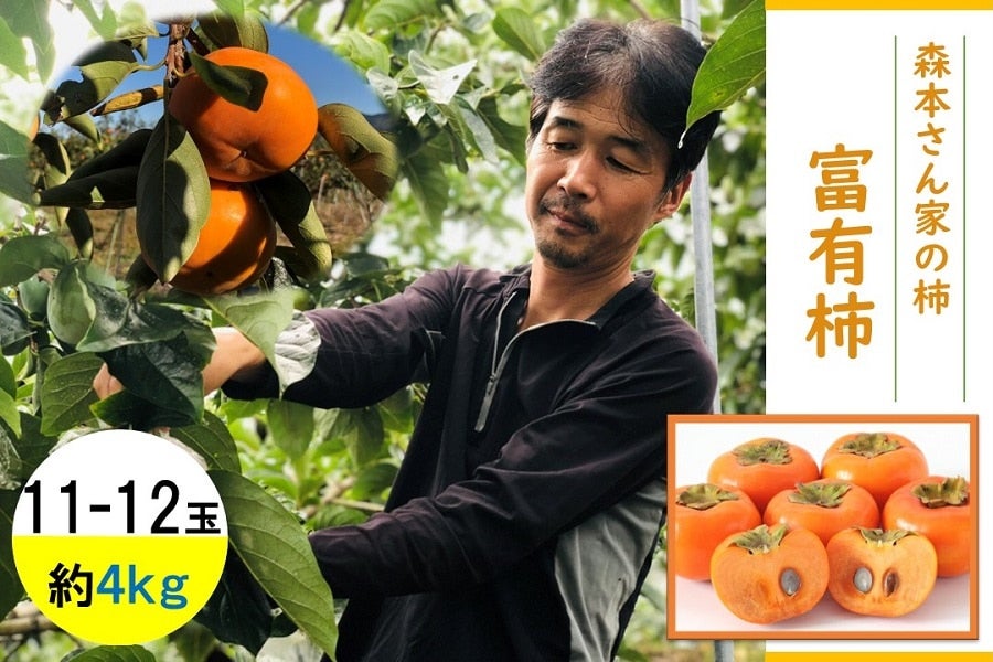 やっちょん広場　森本さん家の柿　富有柿１１〜１２玉 約４kg